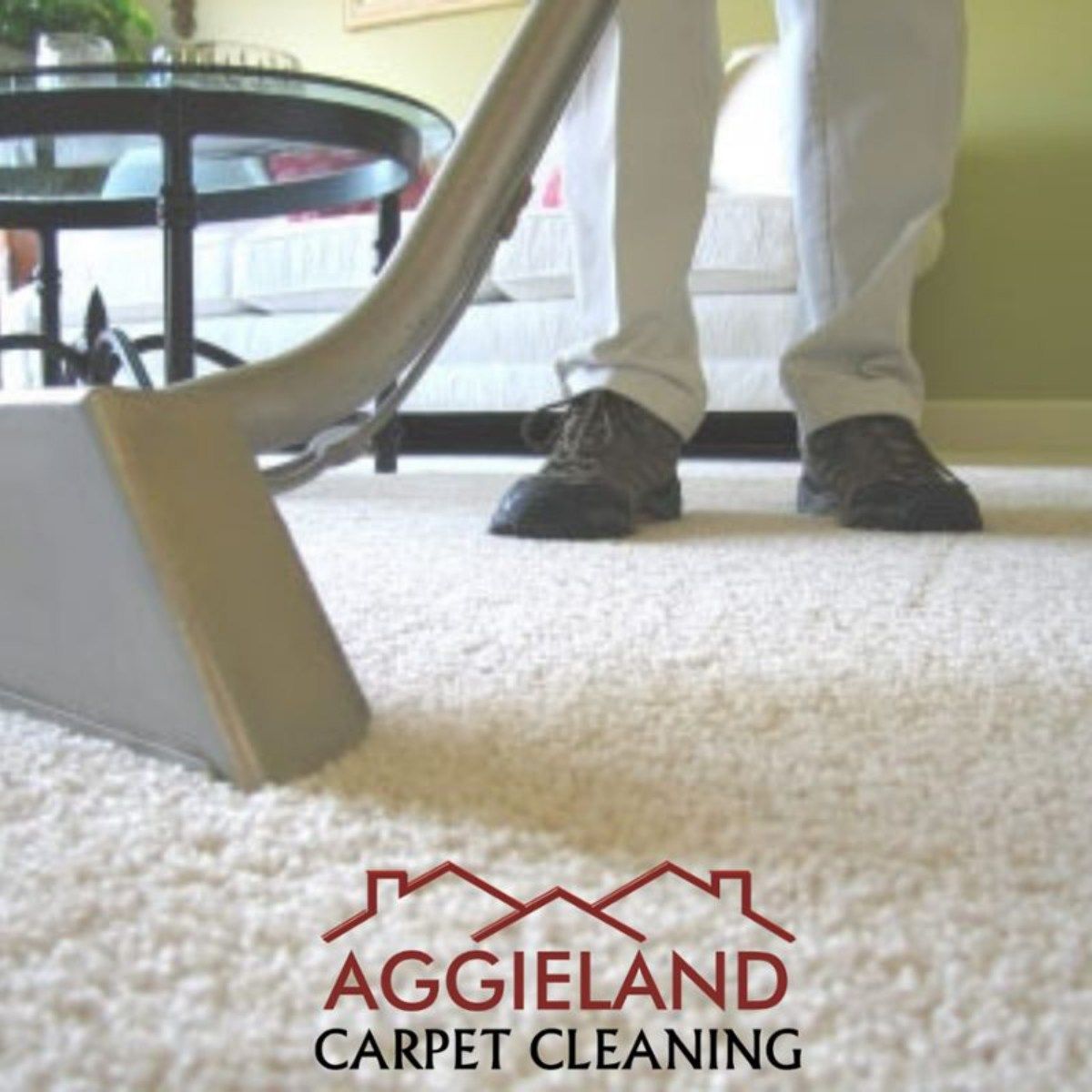 Carpet cleaning expert using professional carpet cleaner on light-colored carpet