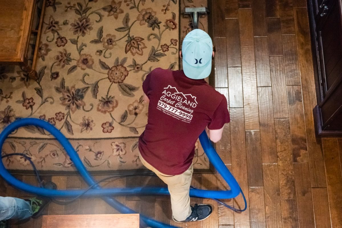 a man is cleaning a rug with a vacuum cleaner .