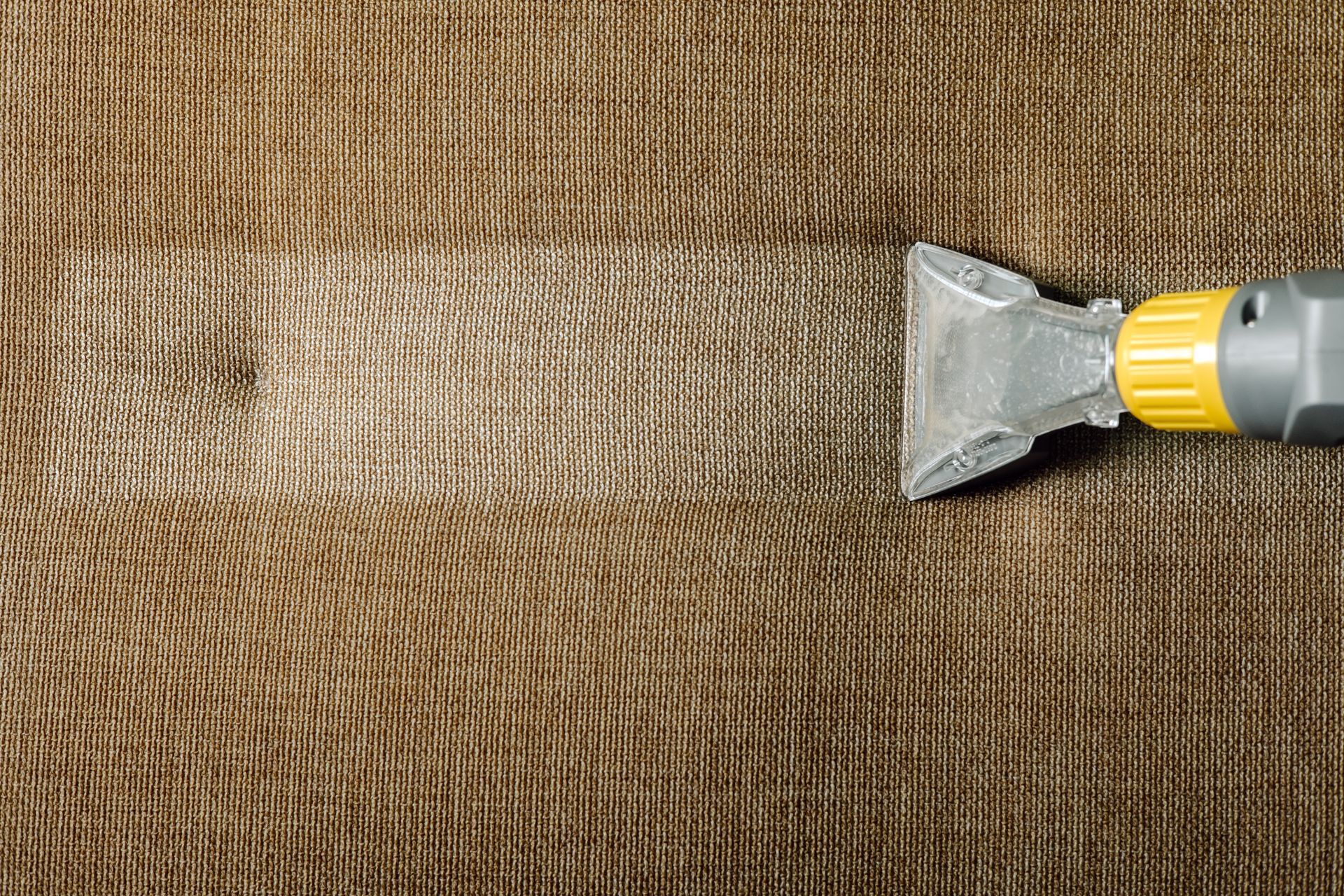 Upholstery Cleaning Services