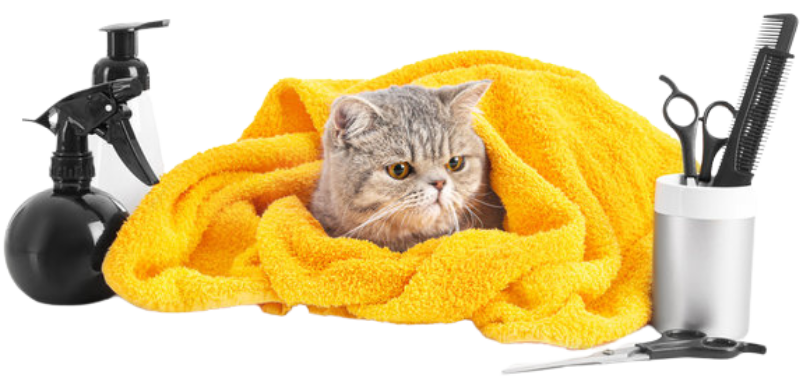 A cat wrapped in a yellow towel next to grooming tools.