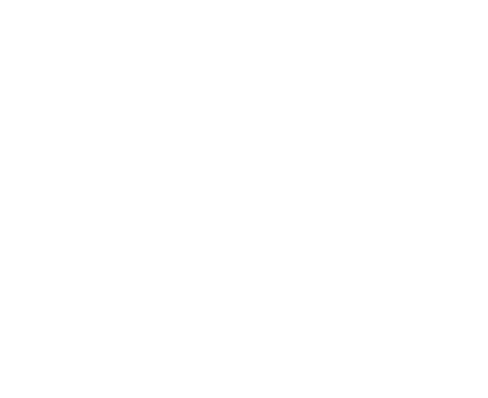 Velvet Rodeo Logo