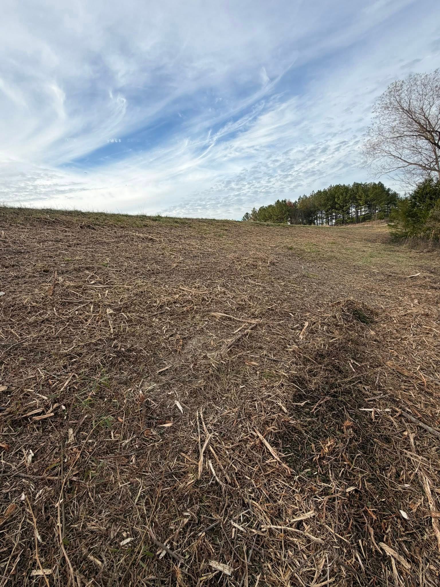 A harvested crop field with brown stubble under a blue sky with wispy clouds and a distant treeline.