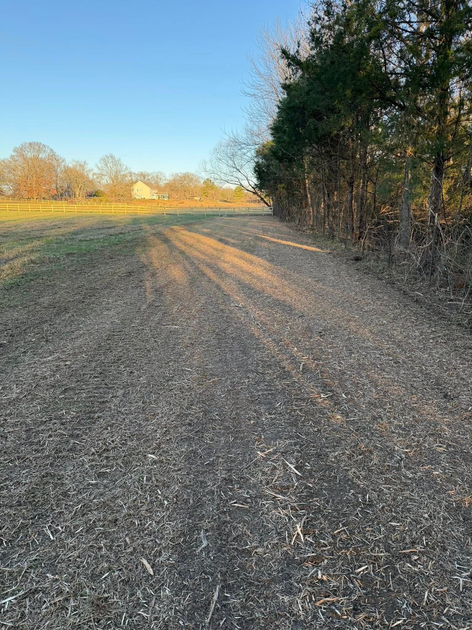 A dirt path covered in fallen leaves runs along a line of trees toward a sunlit field under a clear blue sky.