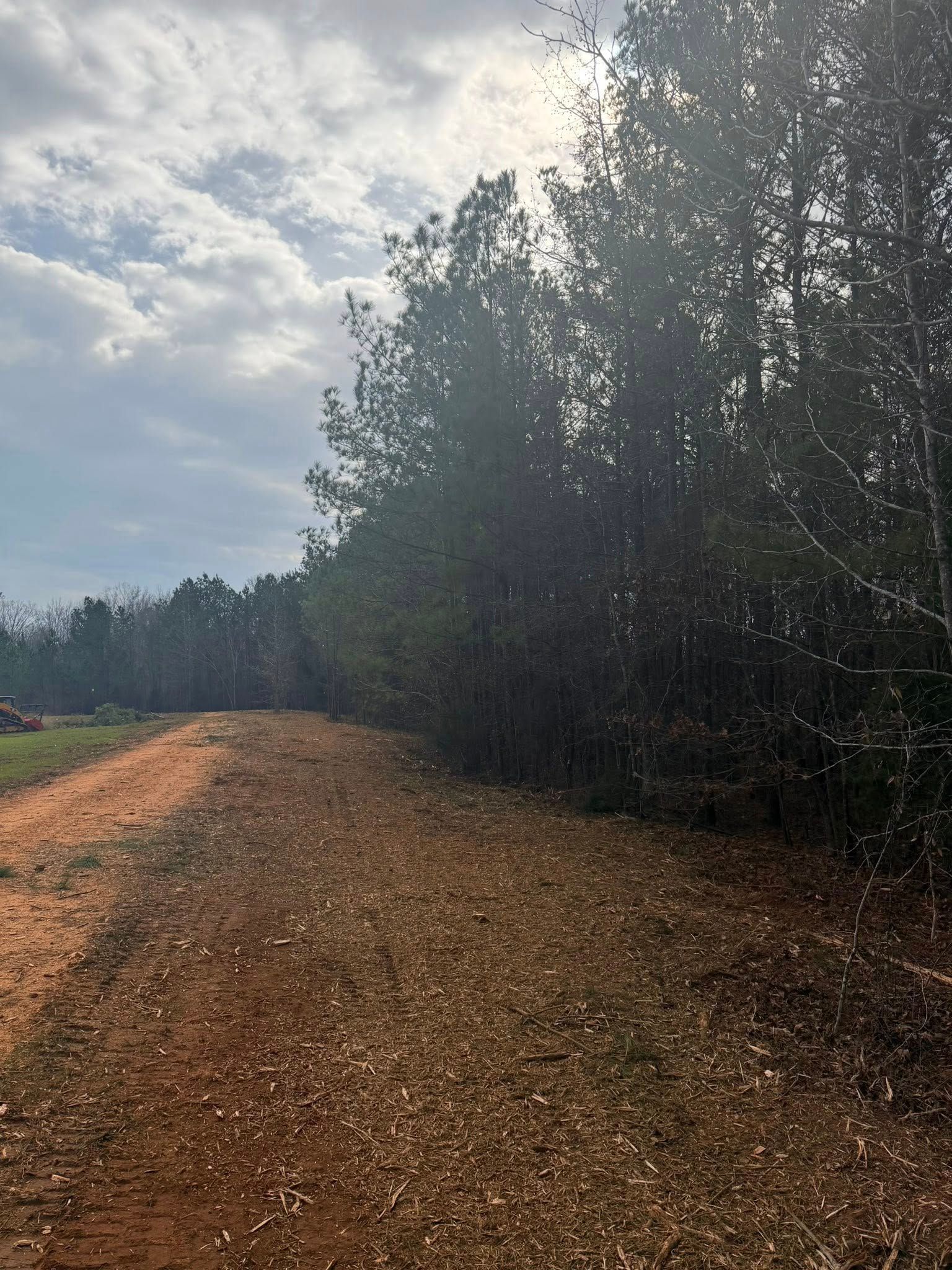 A dirt path runs alongside a dense line of trees under a cloudy sky.