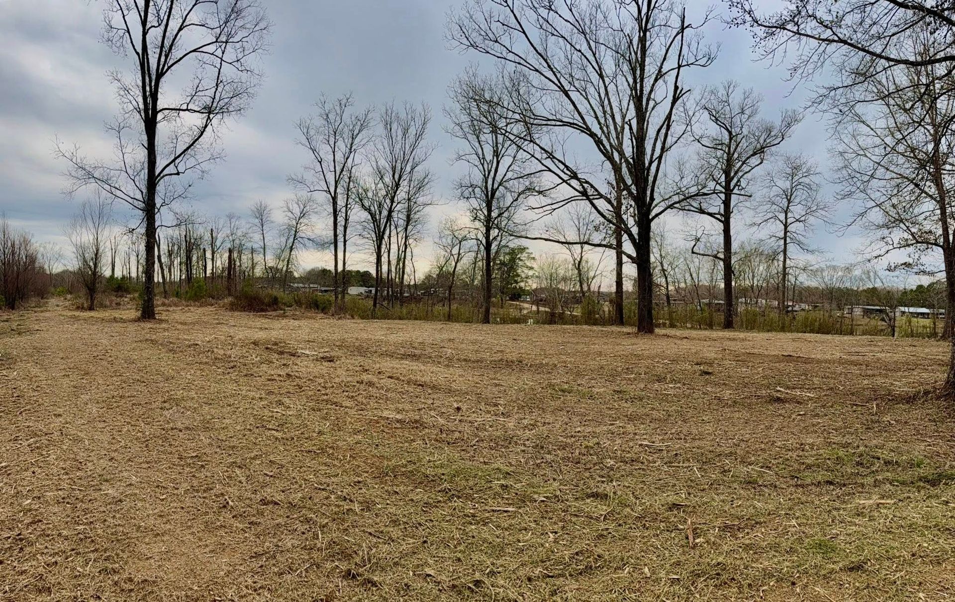 A field covered in dry, brown leaves and cut grass with scattered, leafless trees under a cloudy sky.