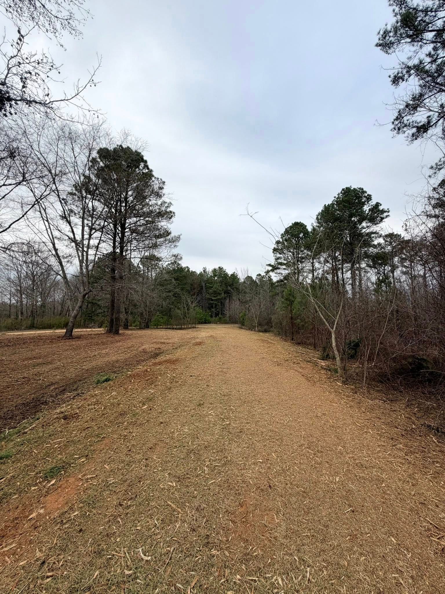 A dirt path covered in fallen leaves leads into a wooded area under a cloudy sky.