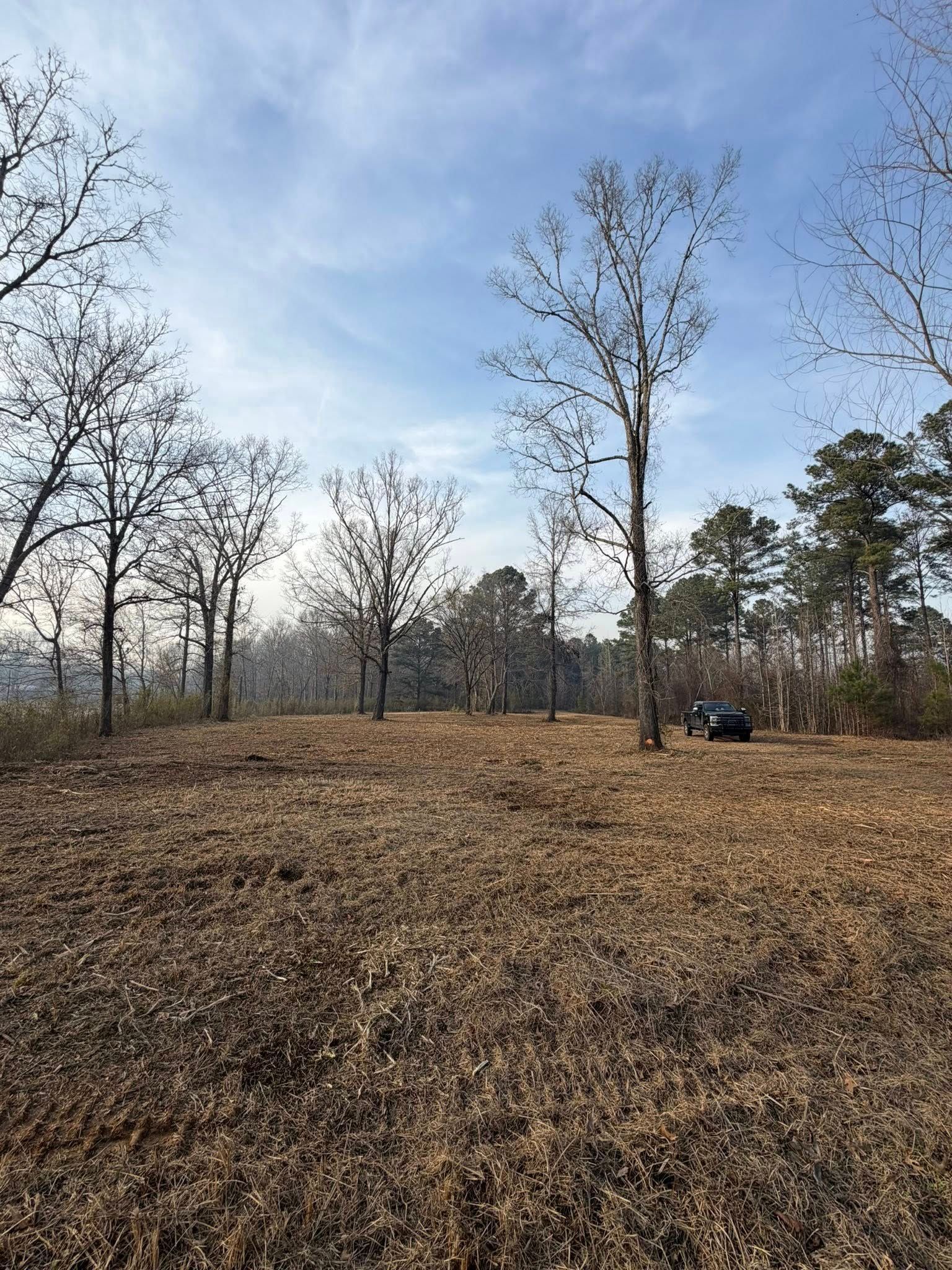 A dark vehicle is parked in a large, cleared field with scattered bare trees under a bright blue sky.