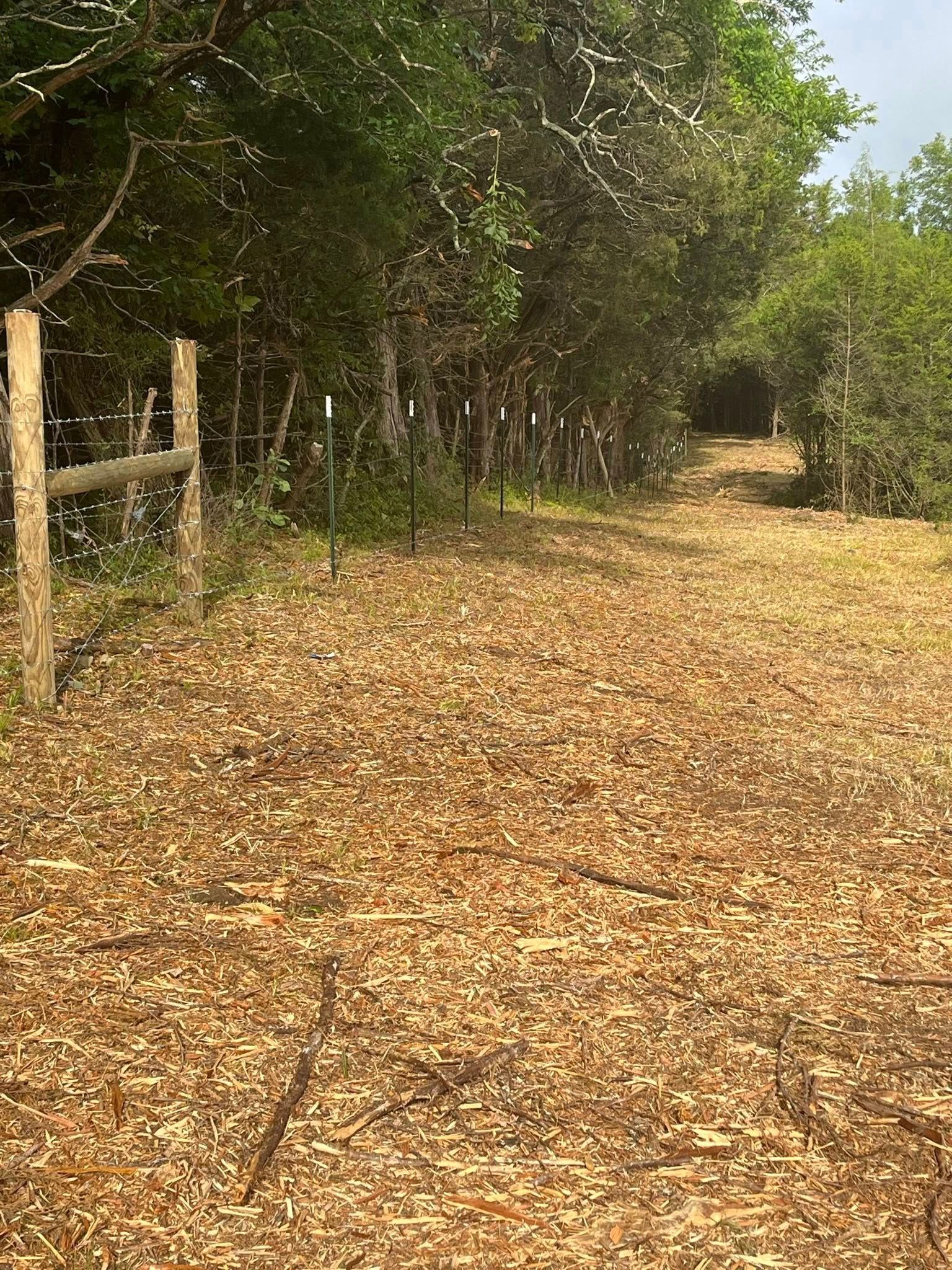 A path covered in wood chips runs alongside a fenced tree line in a wooded area under a bright sky.