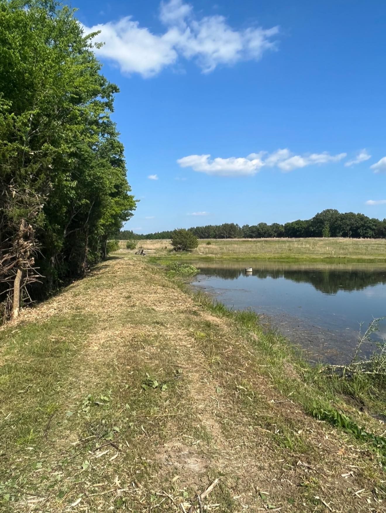 A grassy path runs between a row of lush green trees on the left and a calm pond on the right under a bright blue sky.