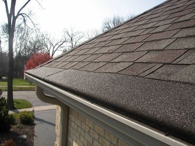 Roof gutter with dark shingles on a house beside a street and leafless trees