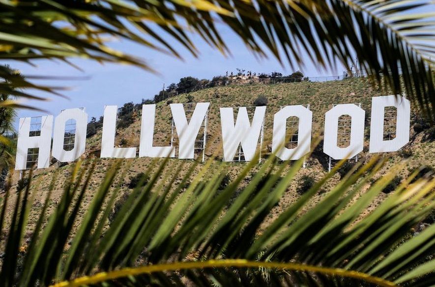 Hollywood sign on a hillside, viewed through palm leaves, against a blue sky.