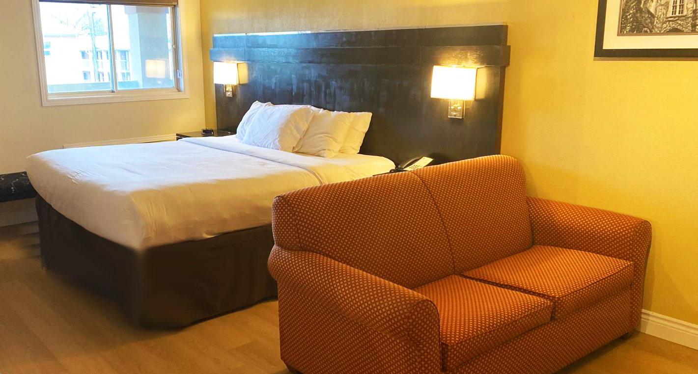 Suites with King Bed and Sofa Bed