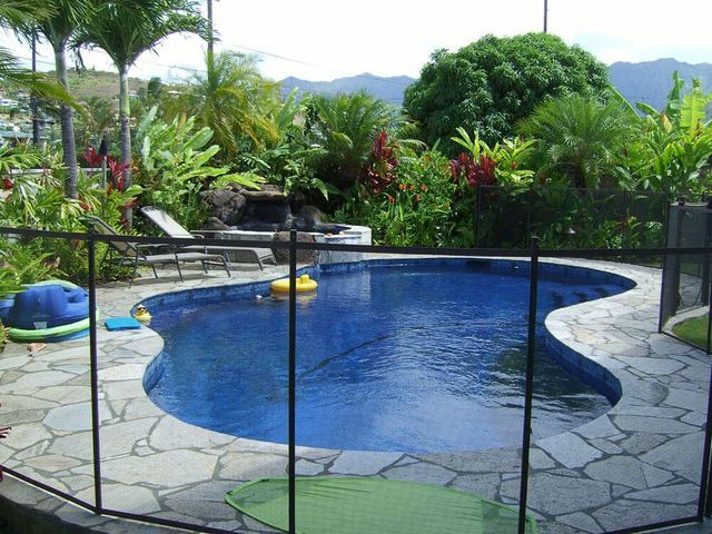 Pool With Curvy Shape — Kailua, HI — Pacific Pool & Spa