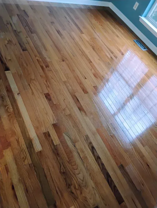 Wooden floor with a glossy finish, reflecting light from a window.