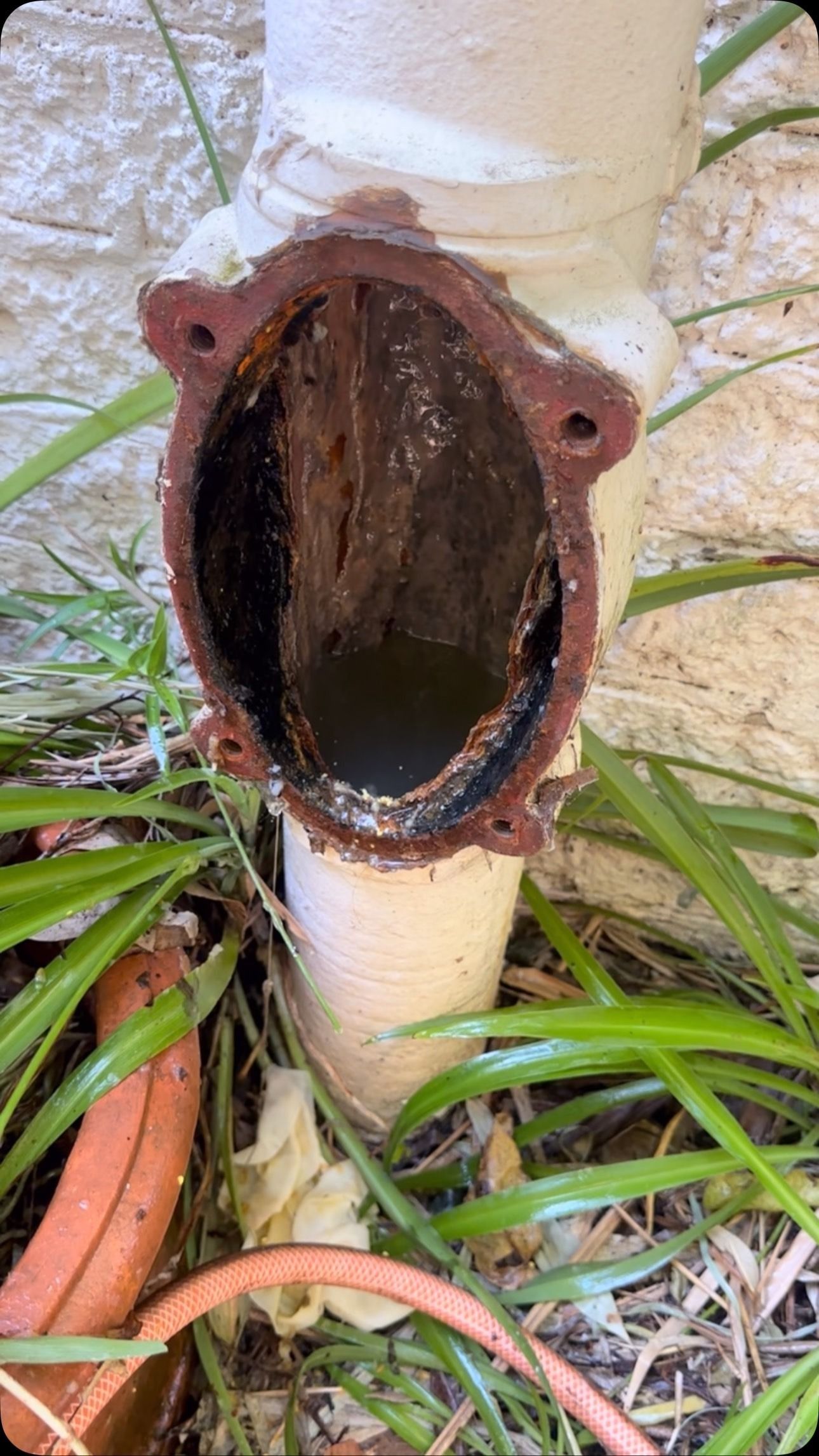 Close-up of a rusted metal pipe opening attached to a white post, surrounded by grass and leaves.