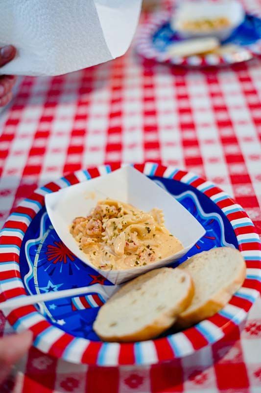 Blue and red plate with bread and crumbs on a red-and-white checkered picnic tablecloth