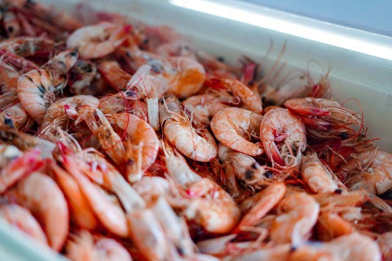 Tray of fresh pink shrimp on ice at a seafood market