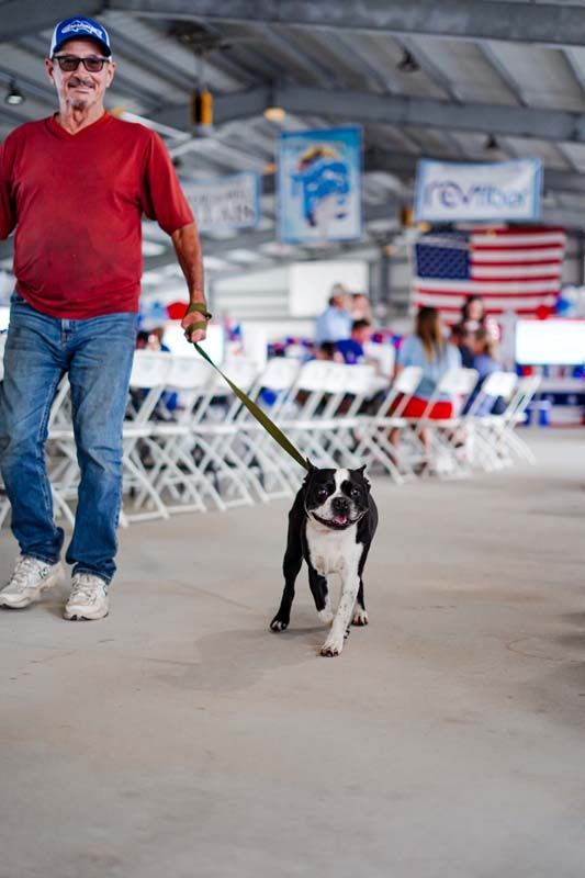 Man walking a black-and-white dog inside a large event hall with rows of white chairs and U.S. flags