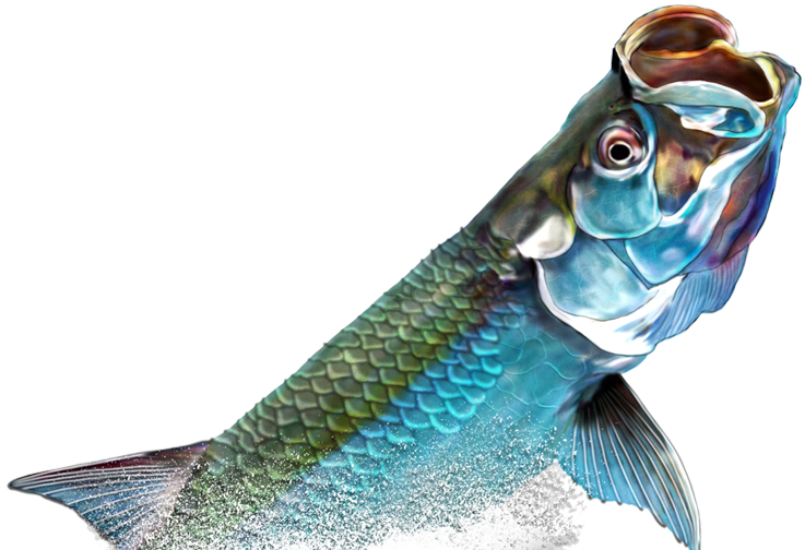 A fish is jumping out of the water with its mouth open