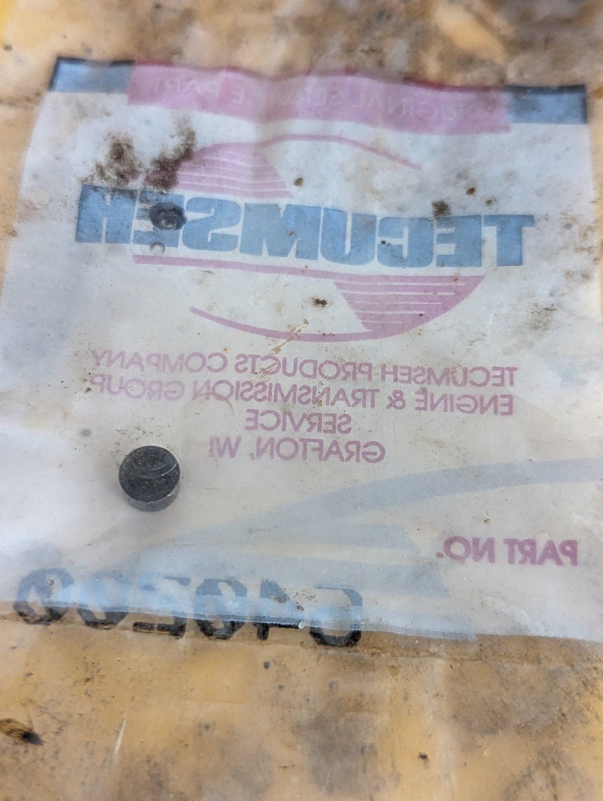 640200 TECUMSEH CAP PLUG BLACK - Ingersoll/Case Tractor Part