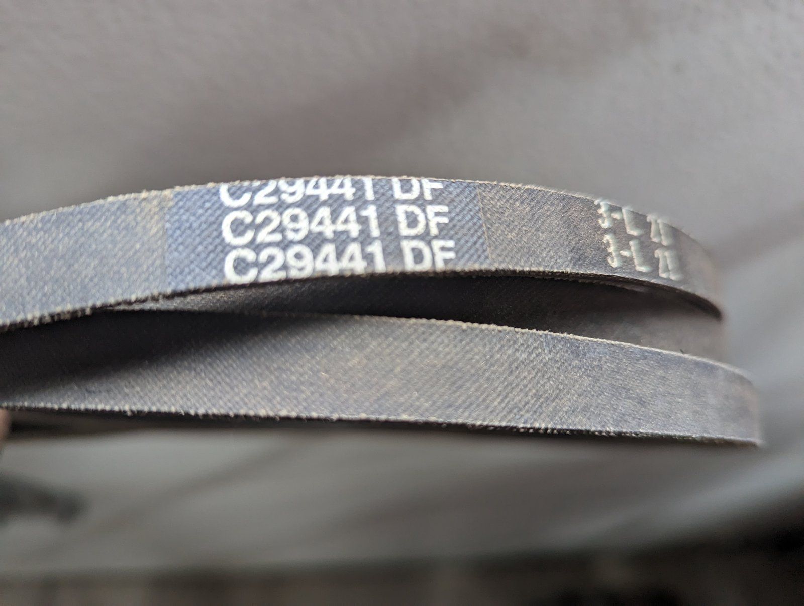 C29441 BELT - Ax96.37