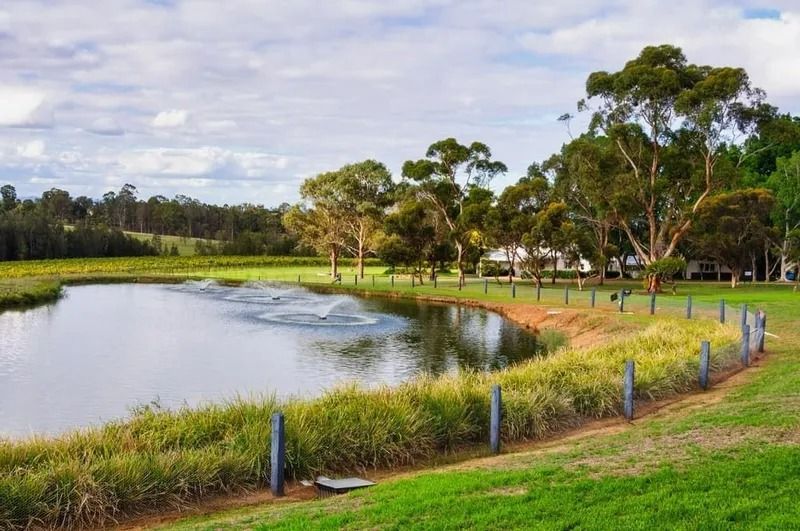 Curved Pond With Fountain Spray — Jamac Cleaning Services in Chisholm, NSW