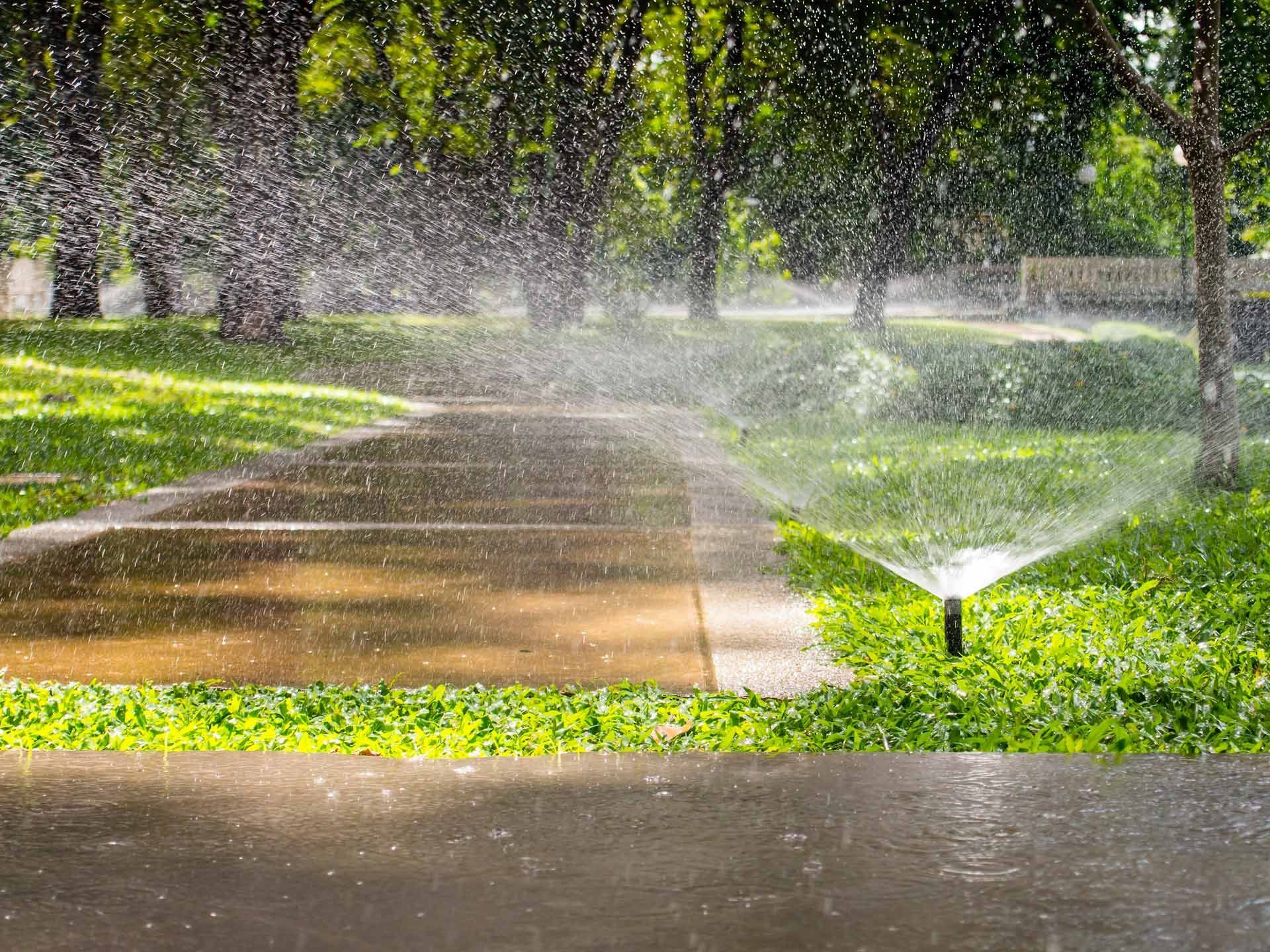 A lawn sprinkler waters green grass and a paved pathway in a park on a sunny day.