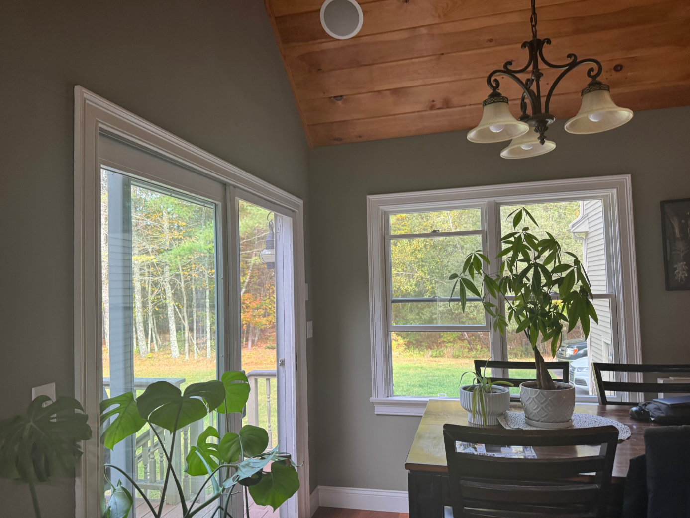 Person painting a light gray wall in a bright room with white trim and tall windows