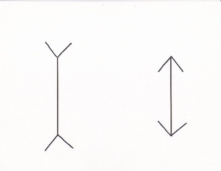 A drawing of two arrows pointing in opposite directions on a white background.