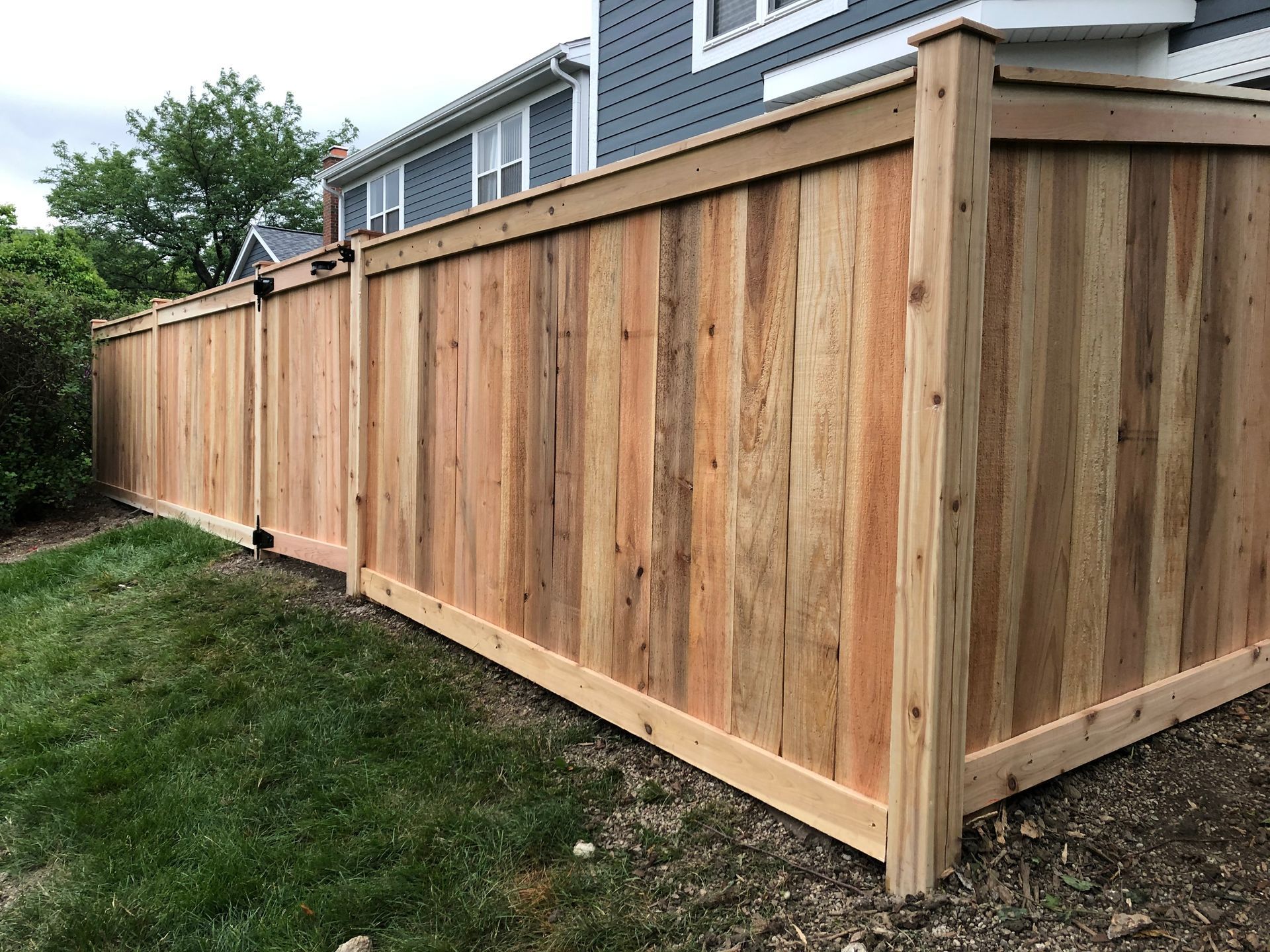 New cedar privacy fence around backyard.