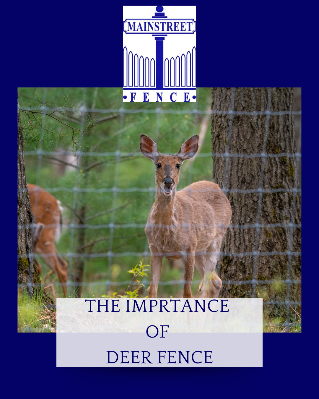 Deer standing behind a wire fence with a Deer standing behind a wire fence with a
