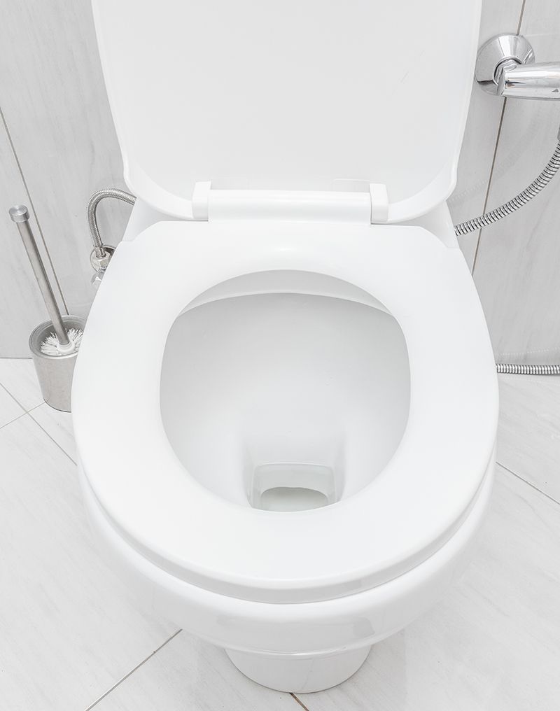 White toilet with the lid up in a tiled bathroom; toilet brush and holder visible on the left.