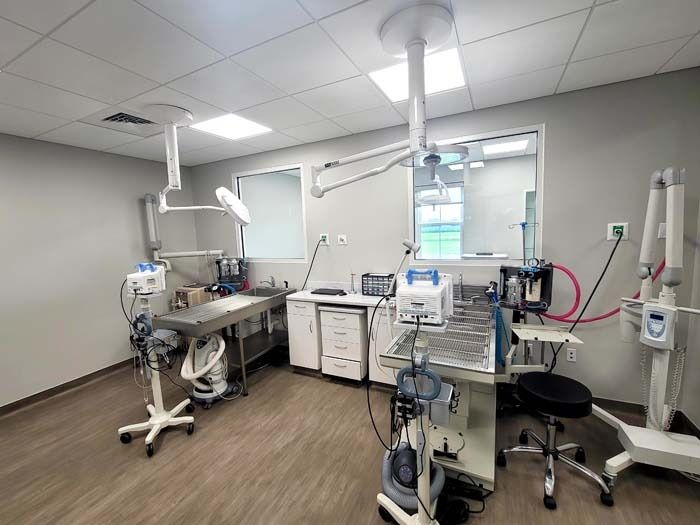 Dental clinic operatory with exam chair, overhead lights, cabinets, and medical equipment