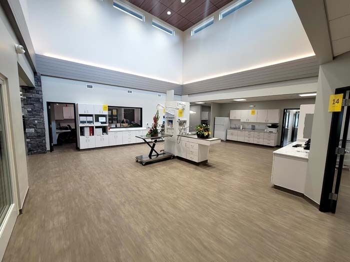 Spacious modern indoor lobby with display counters, white cabinets, and wood flooring under high ceilings