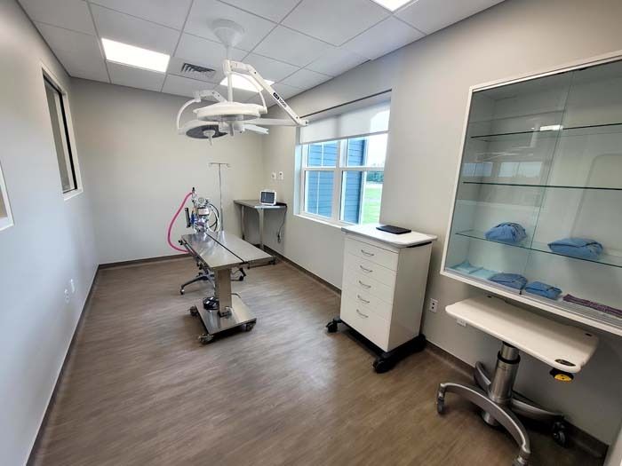 Empty dental exam room with chair, overhead light, cabinets, and window.