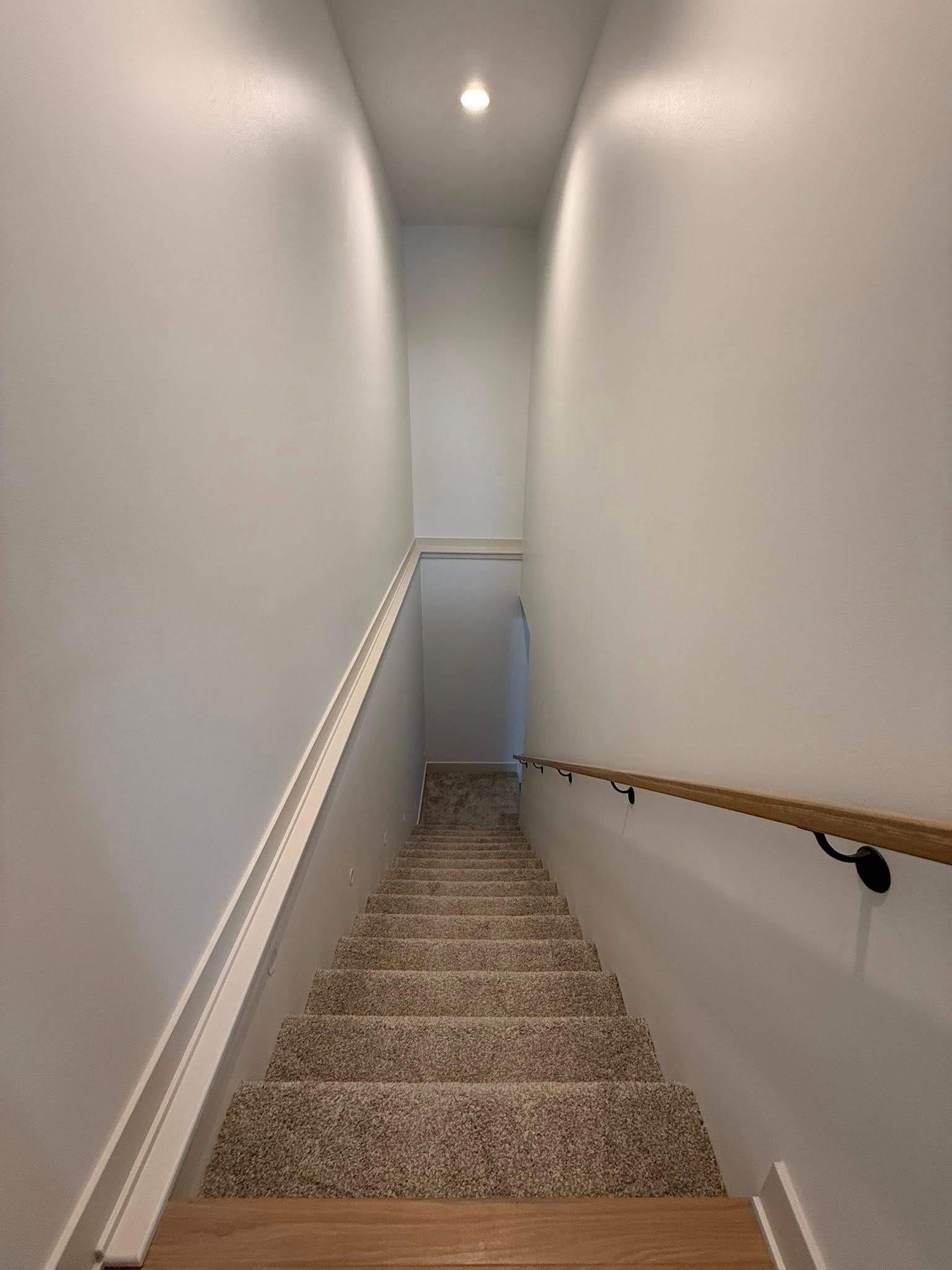 Staircase with carpeted steps and wooden handrails leading upwards between light gray walls.