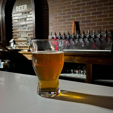 Pint of amber beer on a bar counter with taps and a brick wall in the background