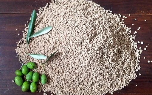 granelli nocciolo di oliva per riscaldamento