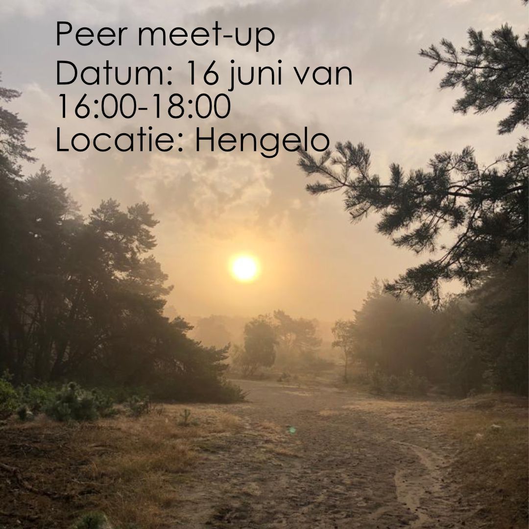 Peer meet-up Hengelo
