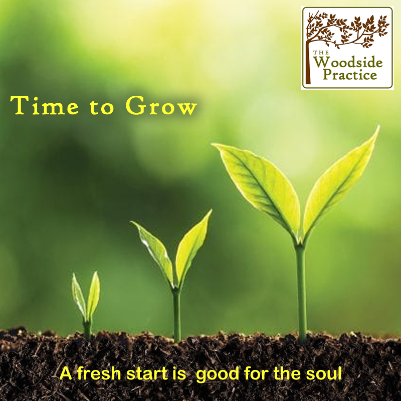 An image of three seedlings emerging - Time to Grow - Make a Fresh Start