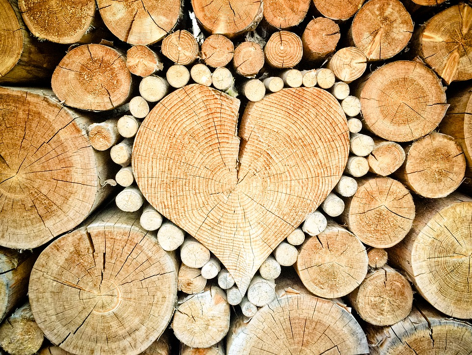 Ends of Logs , showing a heart shape. The woodside Practice