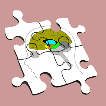 An image showing a jigsaw puzzle with a picture of a simplified cross section of the brain for The woodside Practice