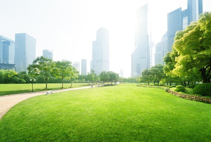 Green Park