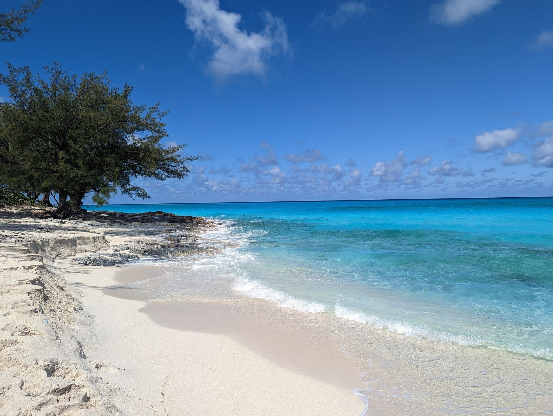 White sandy beach with turquoise water, blue sky, and a lone tree on the shore