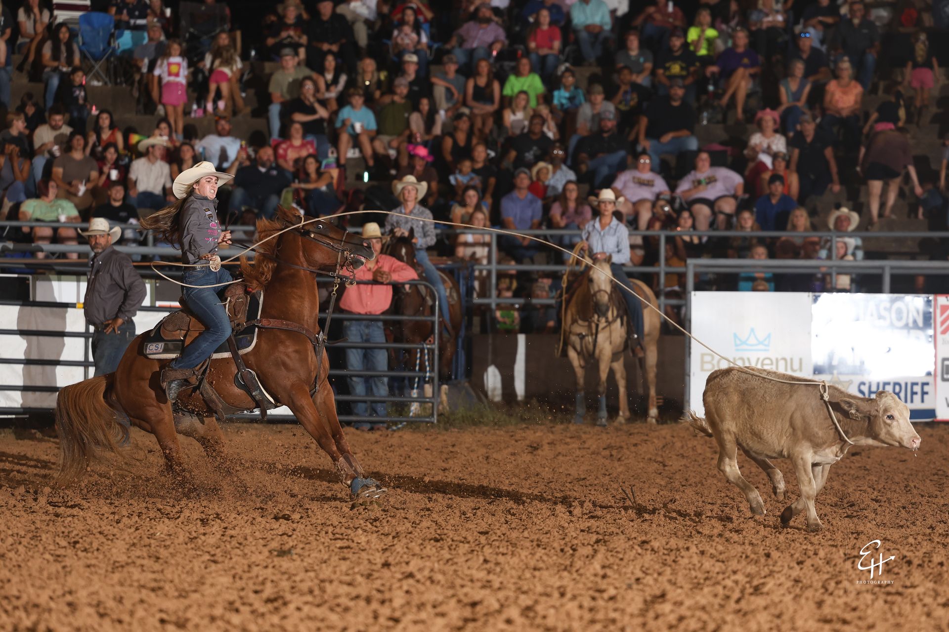 Rodeo calf roping scene with a calf running across the arena and a rider on horseback chasing it, crowd behind