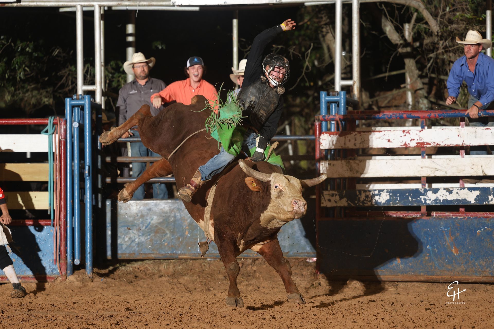 Bull rider on a bucking brown bull in an arena, with spectators watching behind the fence.