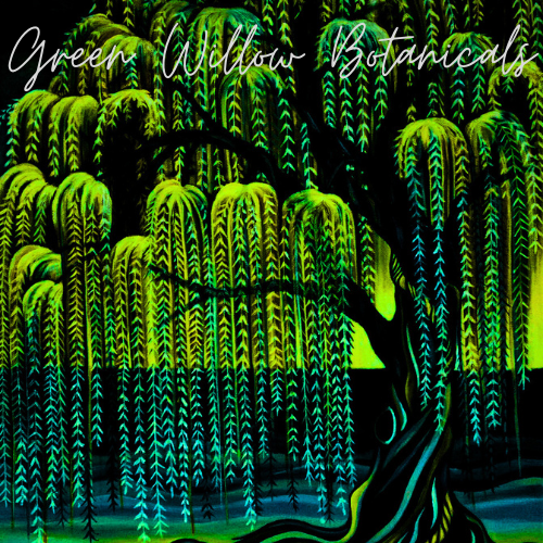 Neon green willow tree on black background with “Green Willow Botanical” text overlay