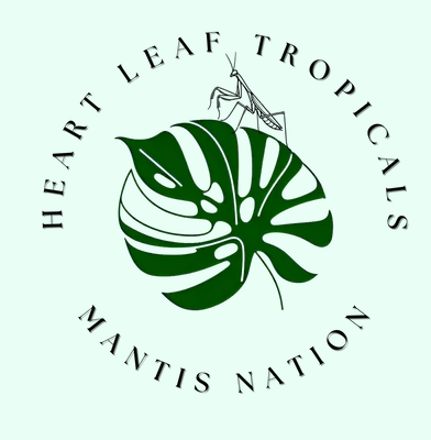 Logo with green leaf and praying mantis, text reading “Heart Leaf Tropicals Mantis Nation”