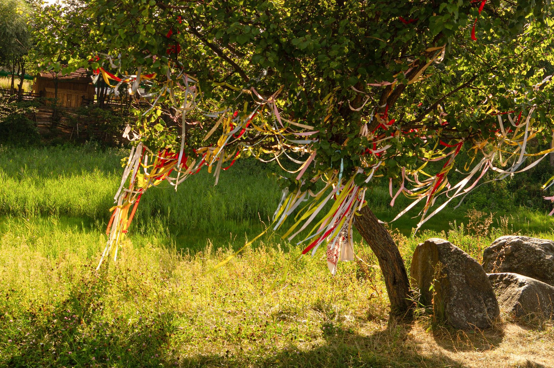 Sunlit orchard with a leafy tree, red ribbons, and large rocks on a grassy slope