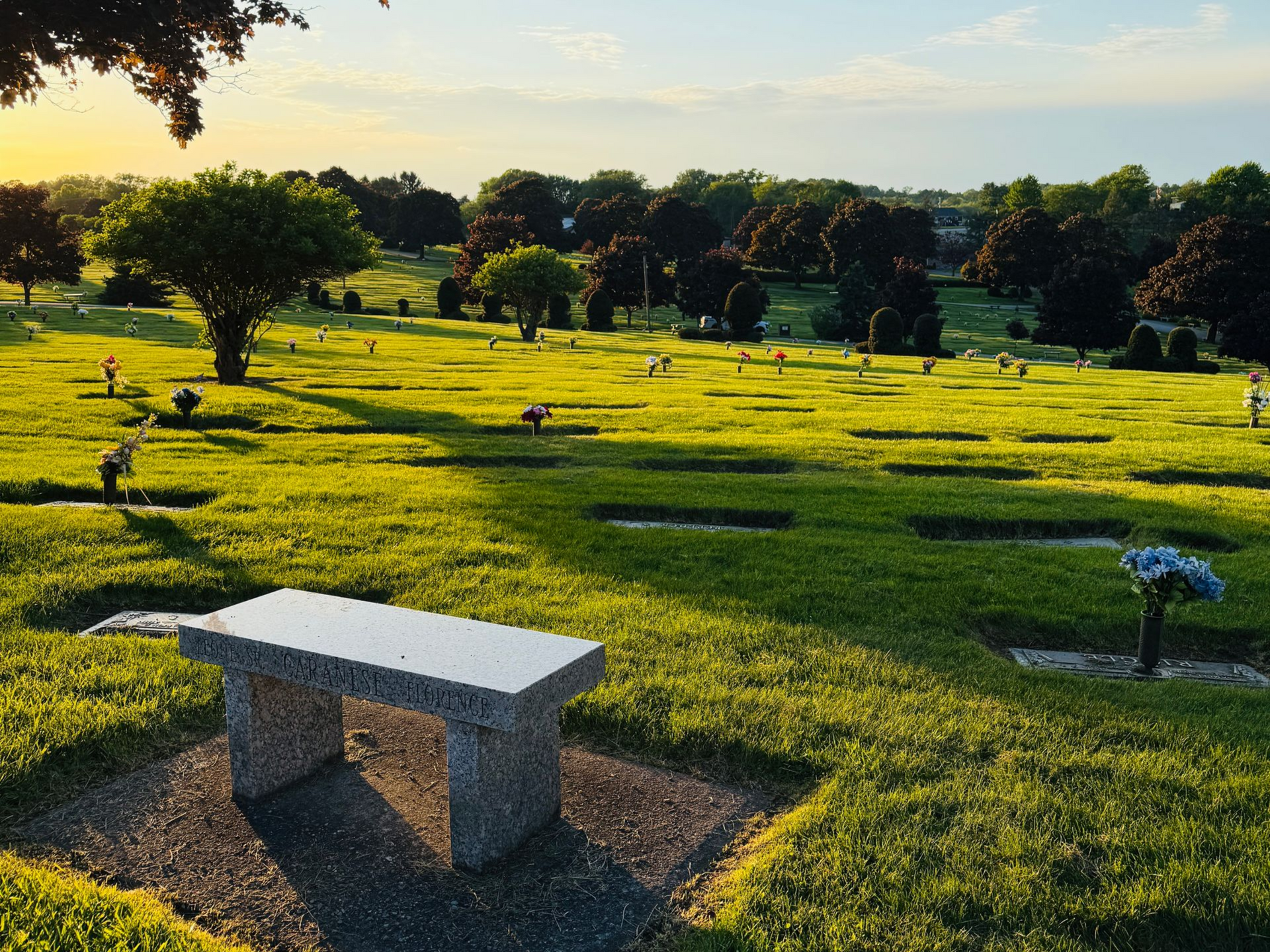 Sunlit cemetery lawn with scattered trees and a stone bench in the foreground